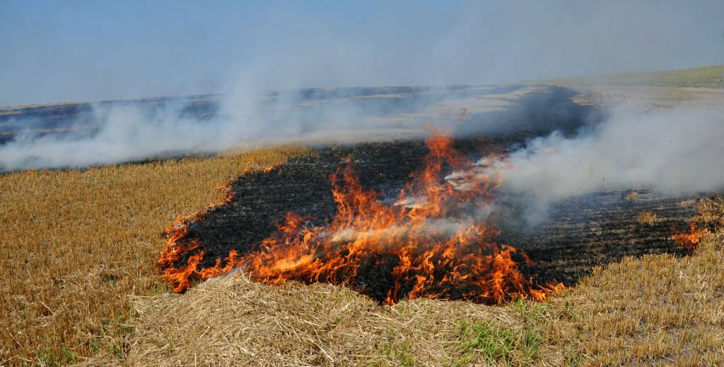 Farm Rousing Fire